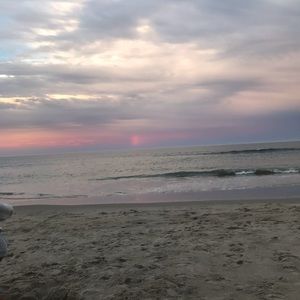 Meet your Posher, Abbie